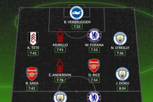 whoscored英超11月最佳阵：安德森、多库领衔，哈兰德、赖斯在列
