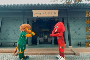 河南足球队万象更新🐘北京国安队百变雄狮🦁