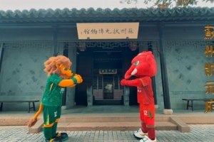 足协杯决赛，张灯结彩！河南队万象更新🐘