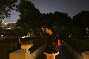 美美美~范志毅女儿这穿搭有点好看，不得不说基因确实强大~